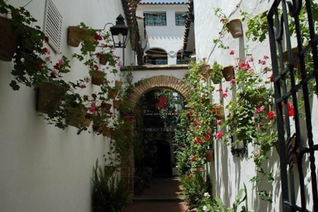 Appartement La Casita Azul à Alicante Extérieur photo